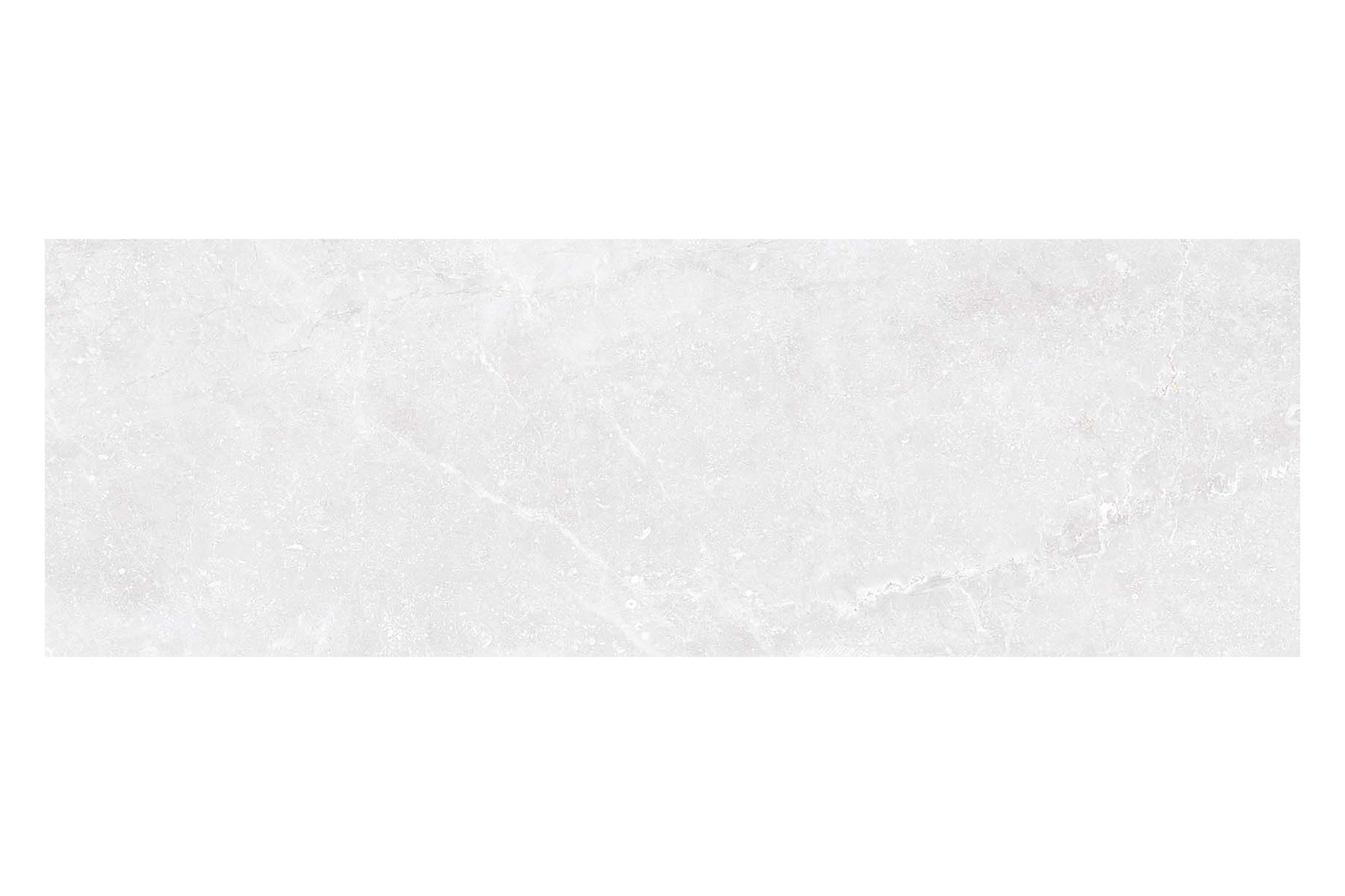 화이트 WHITE