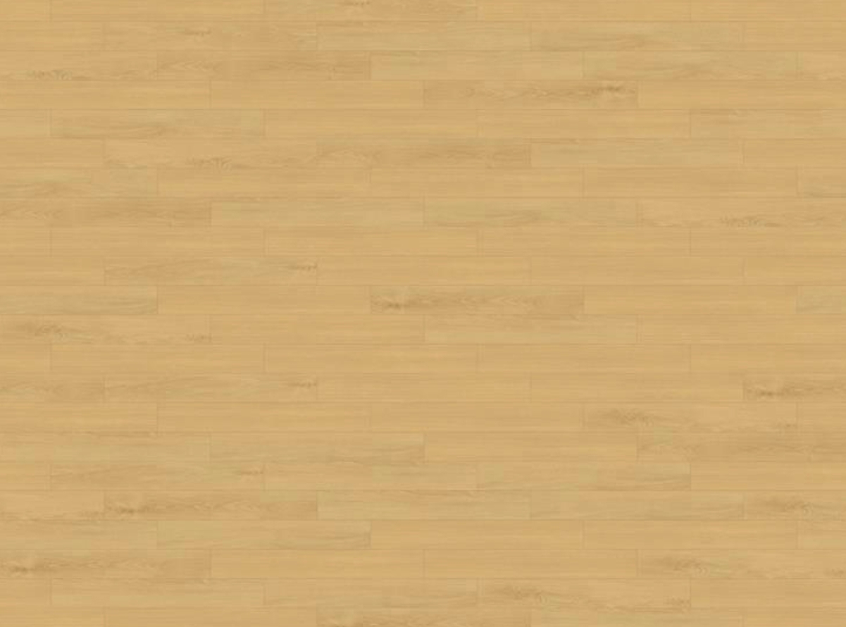 그랜드 본 오크 165 GRAND BORN OAK 165