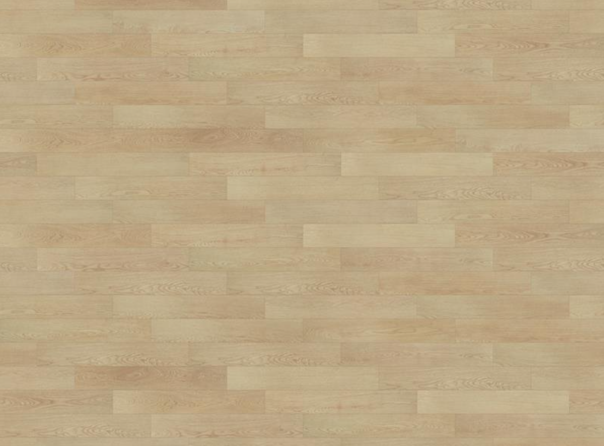 샌드 오크 SAND OAK