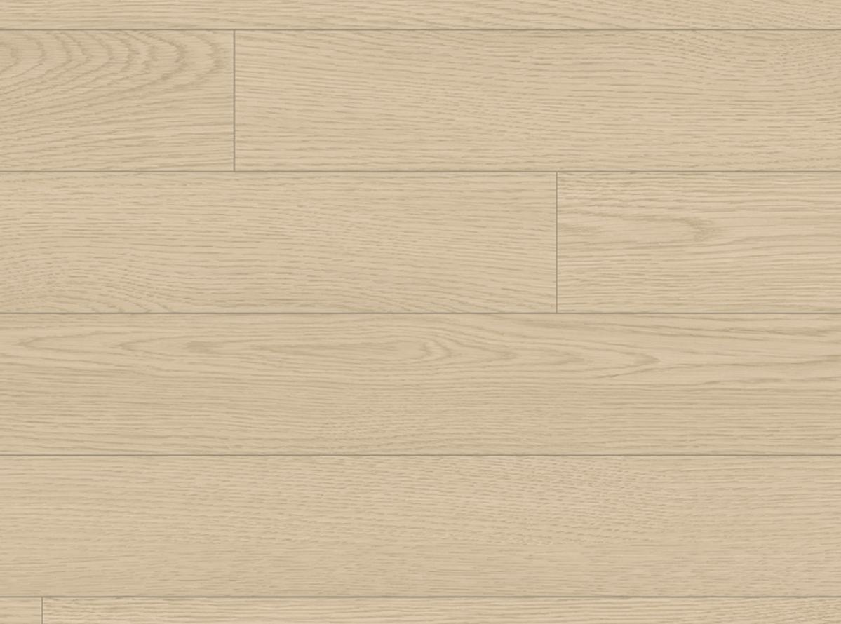 무어 그레이 MOOR GRAY