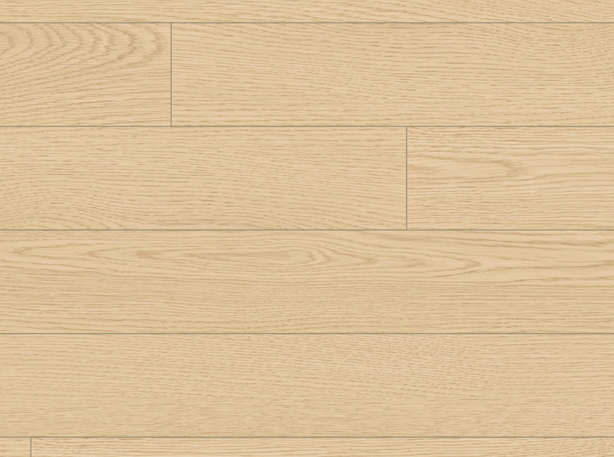 헤이즈 오크 HAZE OAK