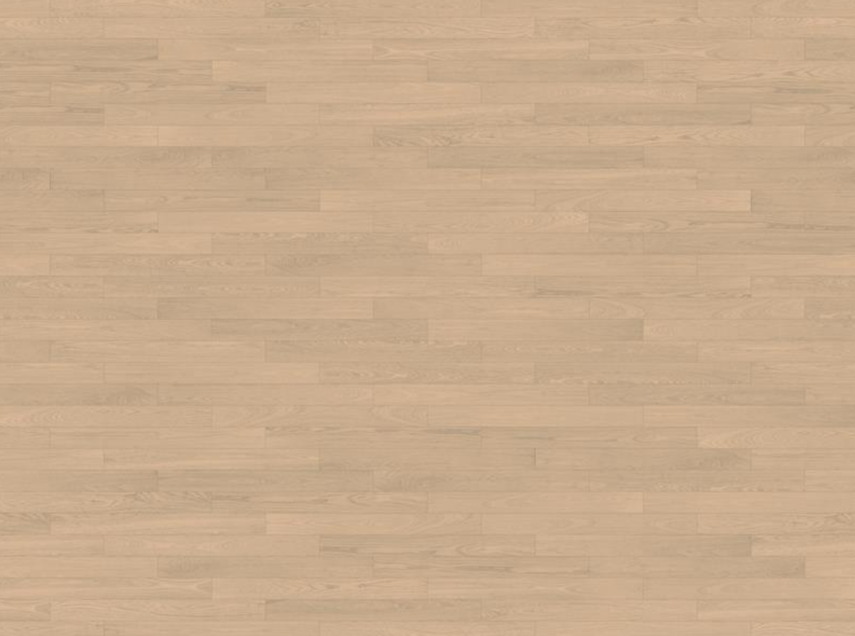 화이트 오크 WHITE OAK
