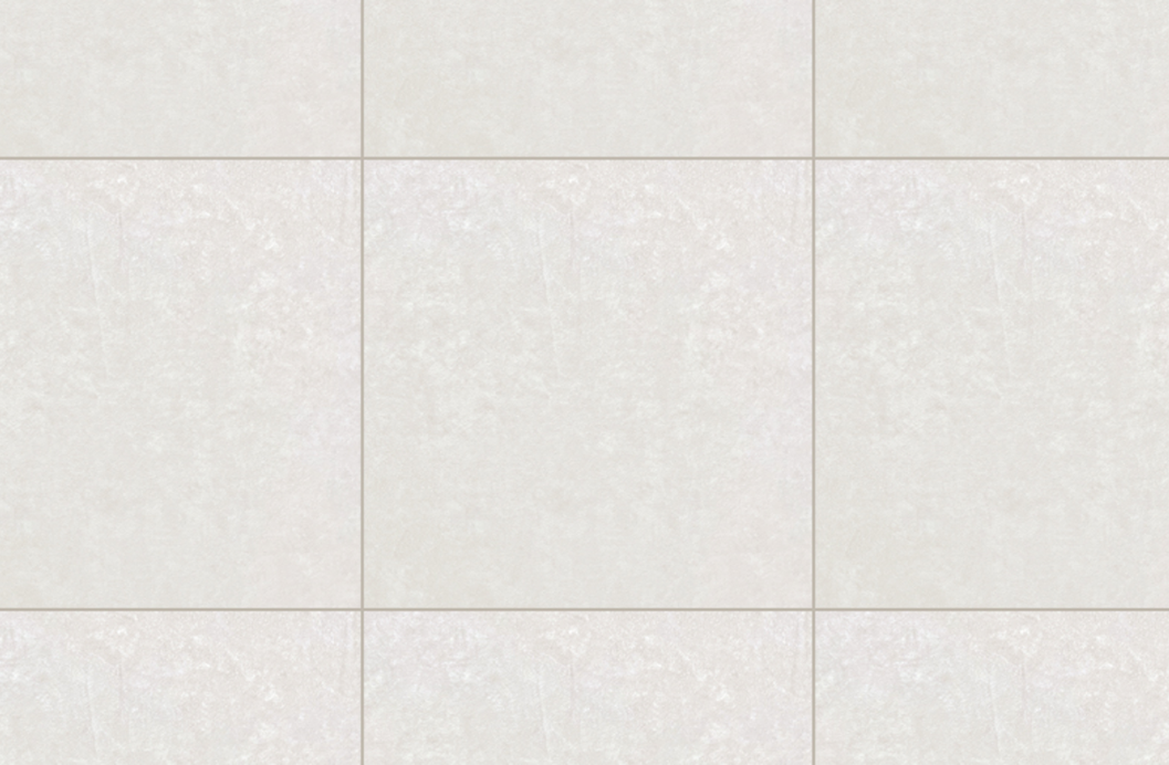 화이트 쇼어 WHITE SHORE